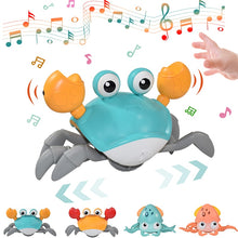 Load image into Gallery viewer, Crab Toys Musical Pet Toy
