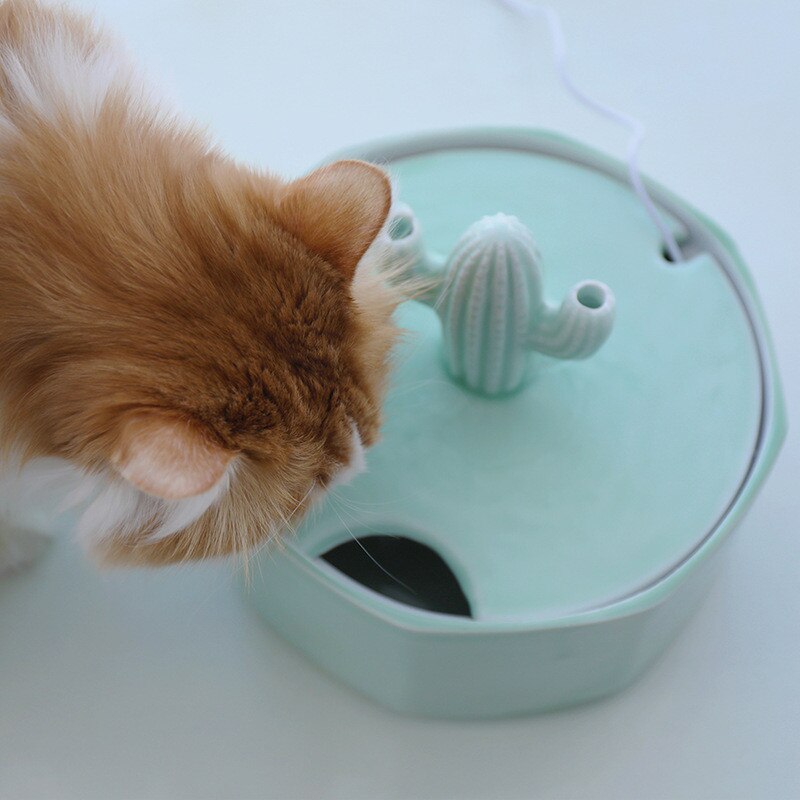 Cactus Shape Cats Water Fountain for Pets