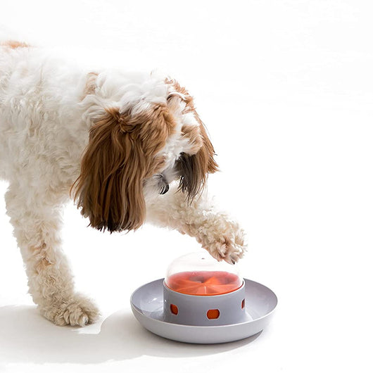 Dog Cat Slow Feeder Bowl Pet Food