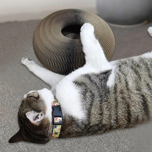 Round Cat Scratcher Cat Toys - OZN Shopping