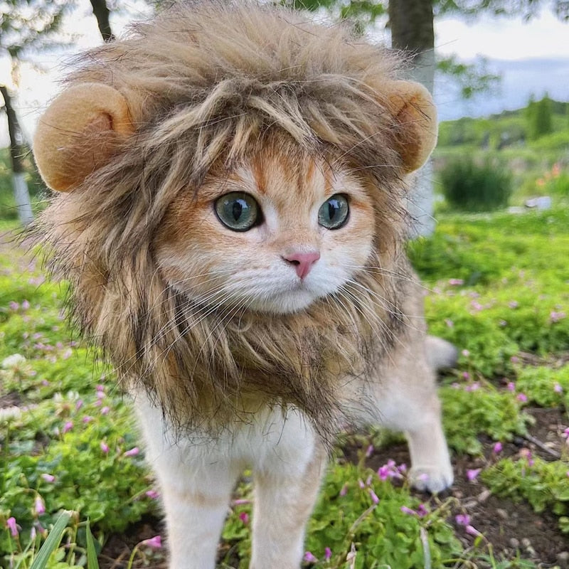 Cat Lion Head Cap Wig