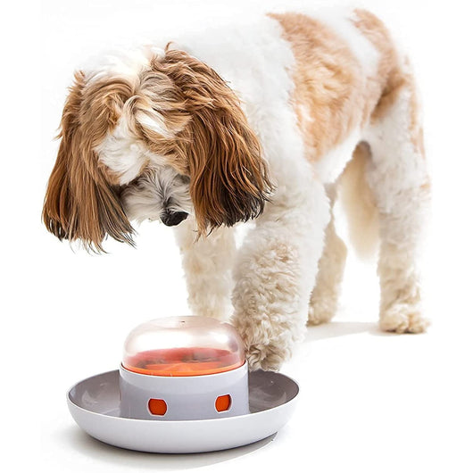 Dog Cat Slow Feeder Bowl Pet Food