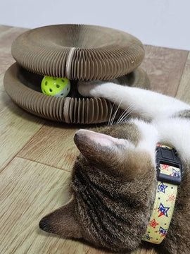 Round Cat Scratcher Cat Toys