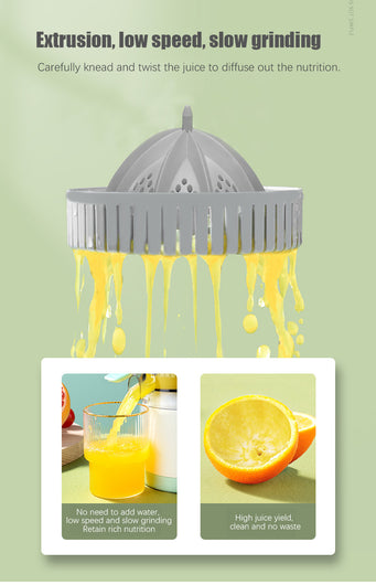 Fruit Juicer Machine - OZN Shopping