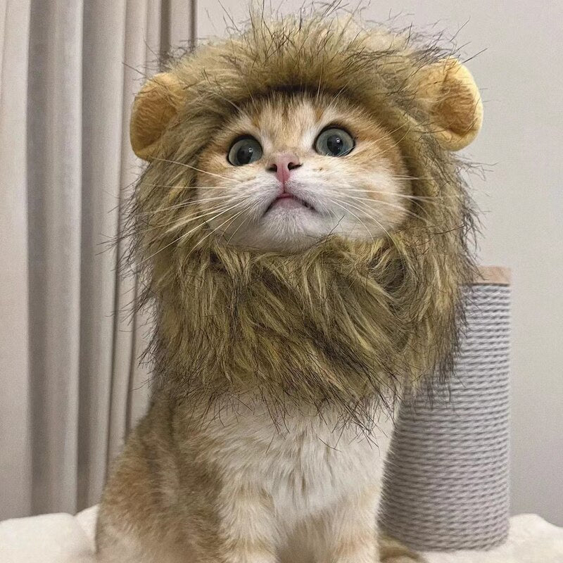 Cat Lion Head Cap Wig