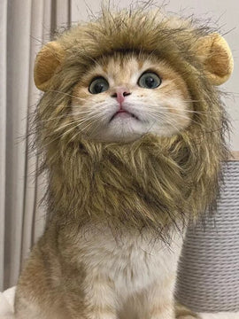 Cat Lion Head Cap Wig