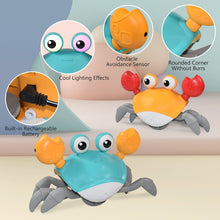 Load image into Gallery viewer, Crab Toys Musical Pet Toy
