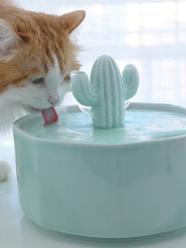 Cactus Shape Cats Water Fountain for Pets