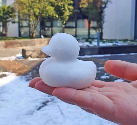 Duck Shaped Snowball Maker Clip  Mold Tool  Fun Sports Toys - OZN Shopping